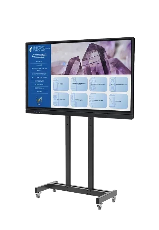 Интерактивное оборудование Мультиборд ИК TEHNOSKY  55 дюймов