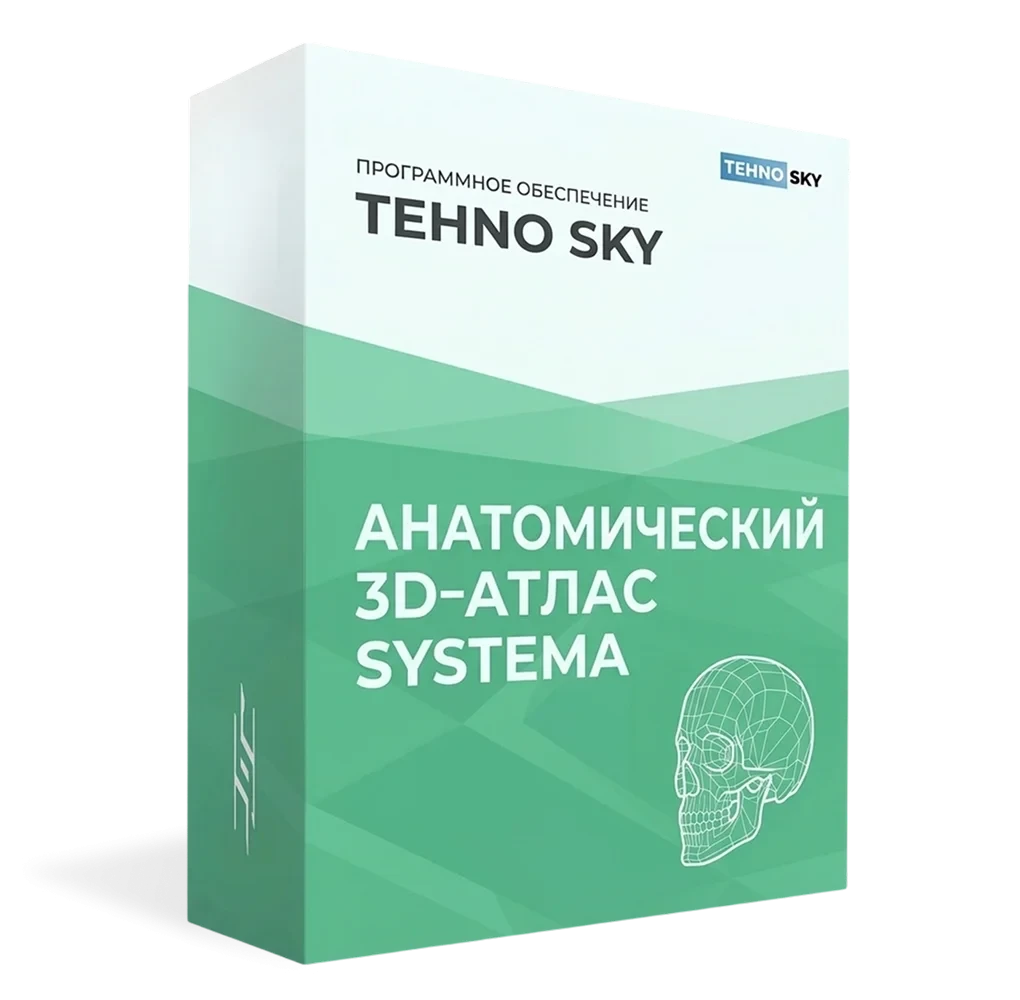 Интерактивное оборудование Анатомический 3D‑атлас SYSTEMA (лицензия 1 год)