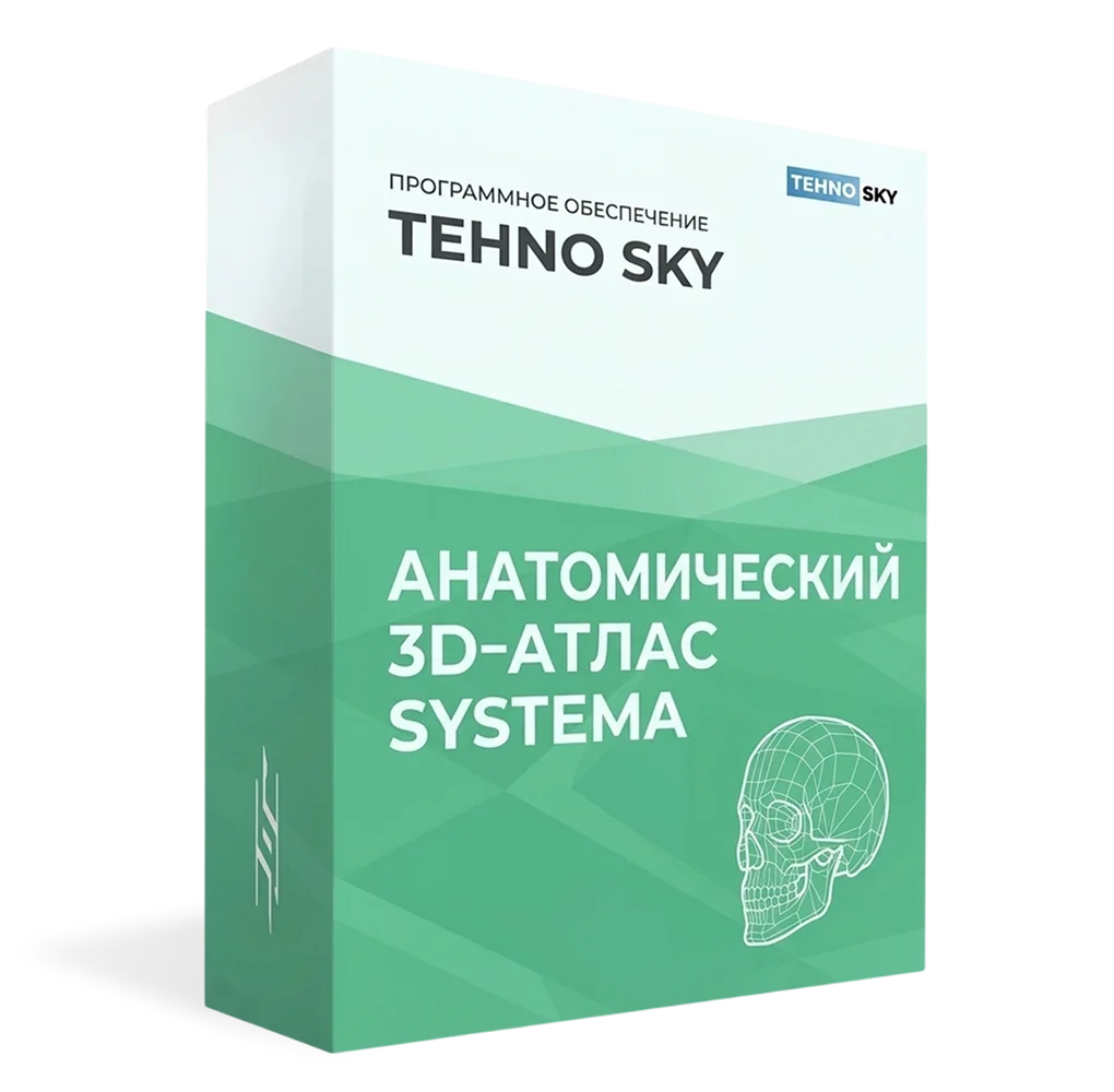 Интерактивное оборудование Анатомический 3D‑атлас SYSTEMA (лицензия 5 лет)